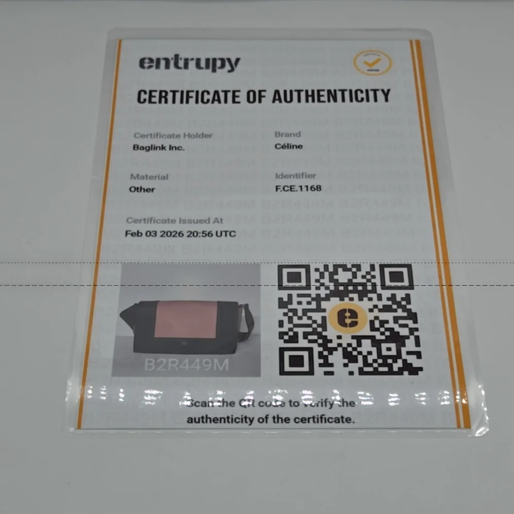 Celine Pink and Gray MEDIUM FRAME Leather Shoulder Bag - Picture 12 of 16